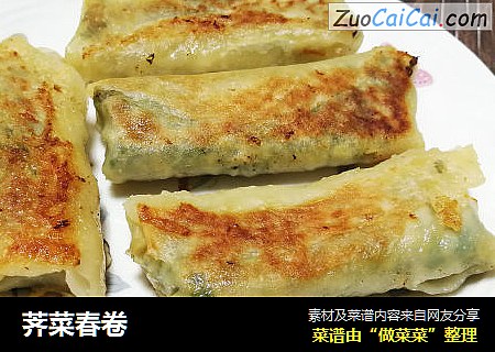 荠菜春卷