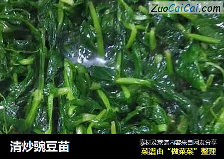 清炒豌豆苗