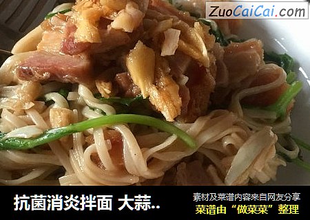 抗菌消炎拌面 大蒜烧肉拌面