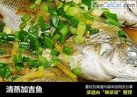 清蒸加吉鱼