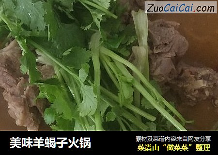 美味羊蝎子火锅