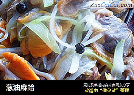 葱油麻蛤