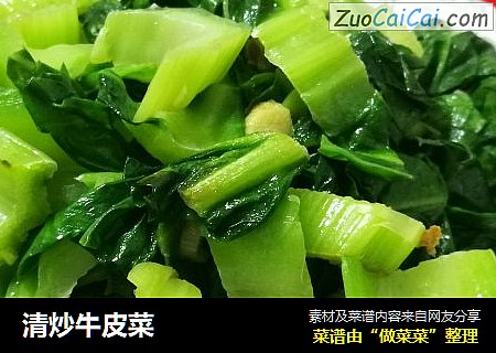 清炒牛皮菜