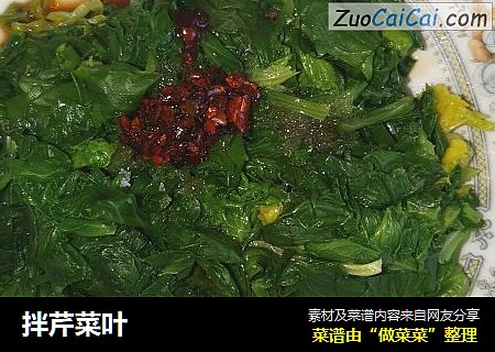 拌芹菜叶