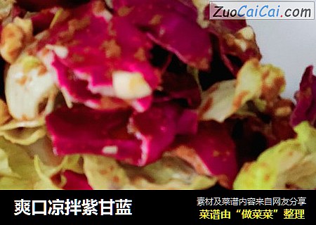 爽口凉拌紫甘蓝