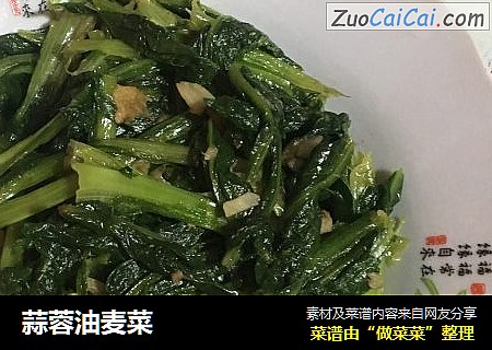 蒜蓉油麦菜