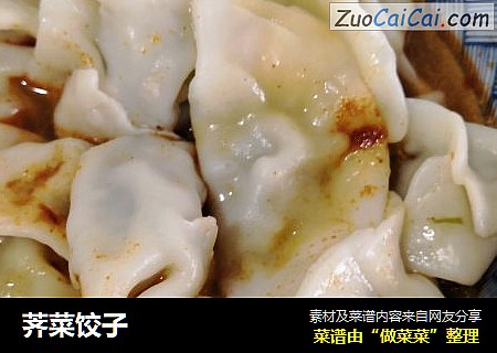 荠菜饺子