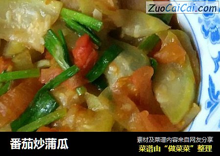 番茄炒蒲瓜