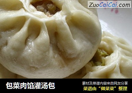 包菜肉馅灌汤包