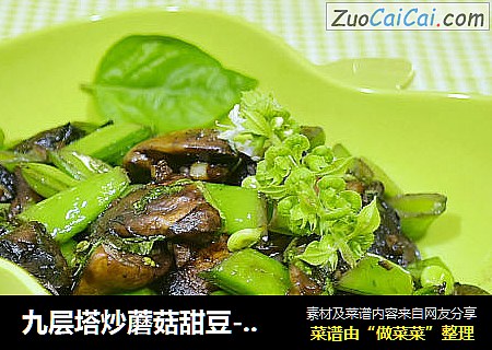九层塔炒蘑菇甜豆--节后清肠食谱