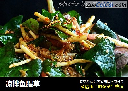 凉拌鱼腥草