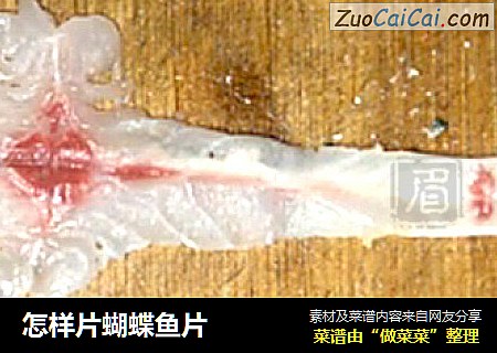 怎样片蝴蝶鱼片