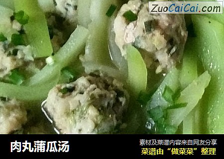 肉丸蒲瓜汤