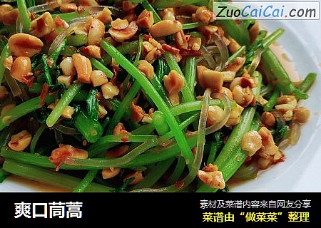 爽口茼蒿