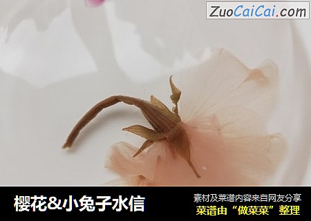 樱花&小兔子水信