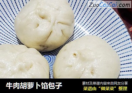 牛肉胡萝卜馅包子