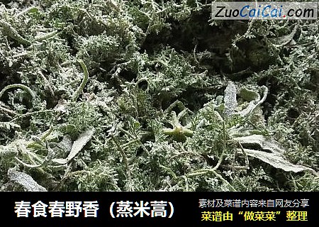 春食春野香（蒸米蒿）