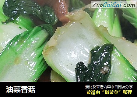 油菜香菇
