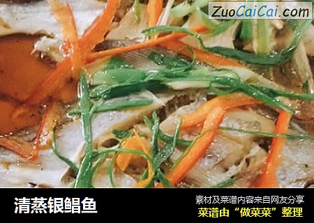 清蒸银鲳鱼