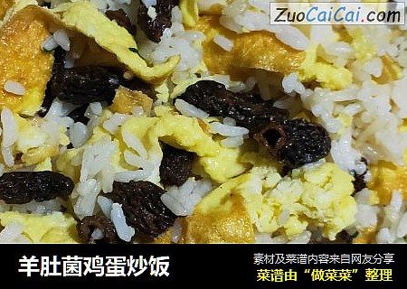 羊肚菌鸡蛋炒饭
