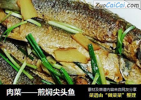 肉菜——煎焖尖头鱼