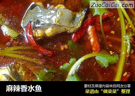 麻辣香水鱼