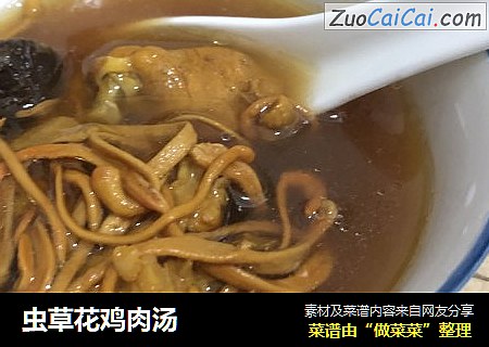 虫草花鸡肉汤