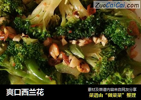 爽口西兰花