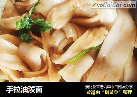 手拉油泼面