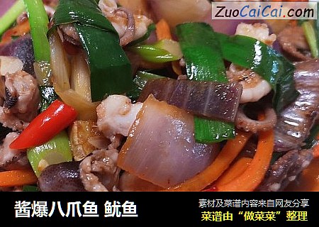 酱爆八爪鱼 鱿鱼