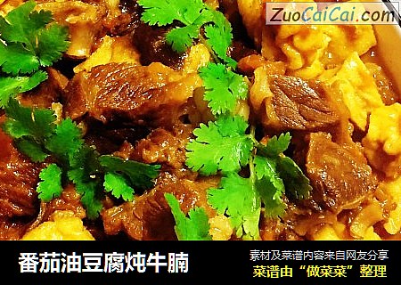 番茄油豆腐炖牛腩