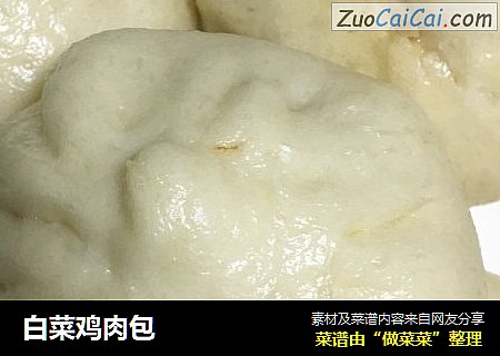 白菜鸡肉包
