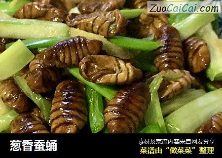 葱香蚕蛹