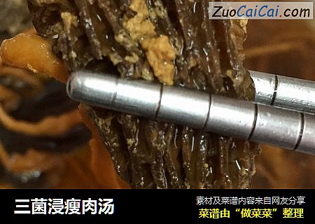 三菌浸瘦肉汤