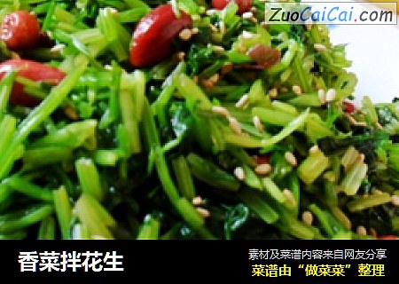 香菜拌花生