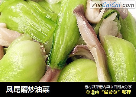 凤尾蘑炒油菜
