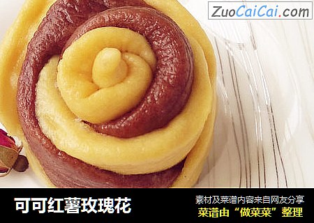 可可红薯玫瑰花