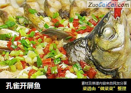 孔雀开屏鱼