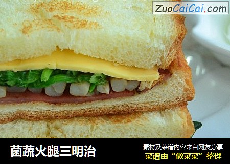 菌蔬火腿三明治