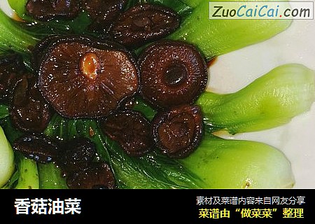 香菇油菜