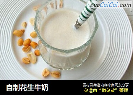 自制花生牛奶