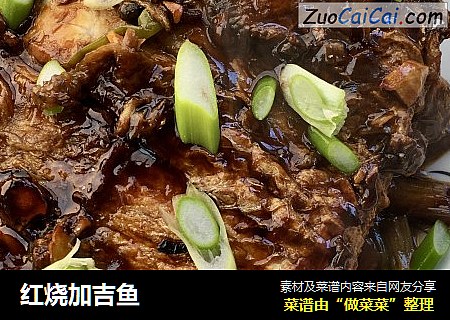 红烧加吉鱼