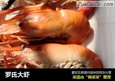 罗氏大虾