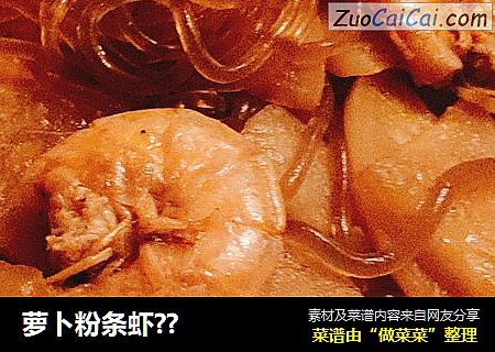 萝卜粉条虾??
