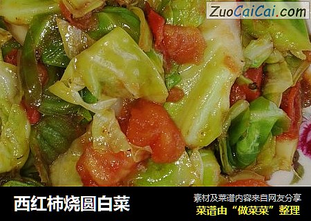 西红柿烧圆白菜
