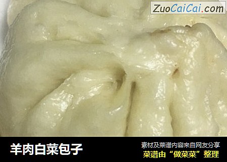 羊肉白菜包子