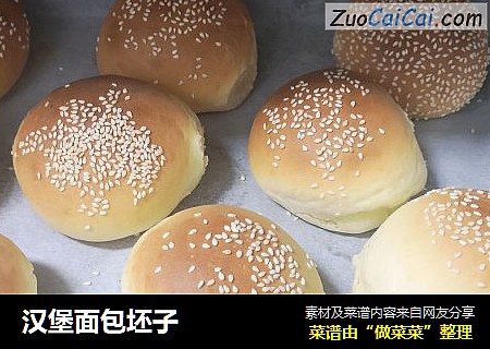 汉堡面包坯子