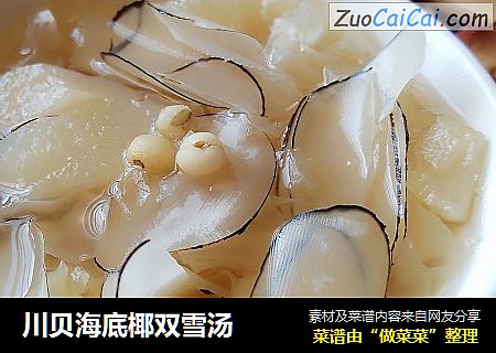川贝海底椰双雪汤