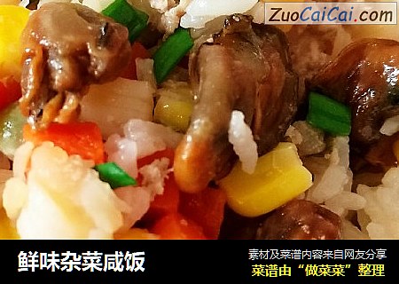 鲜味杂菜咸饭