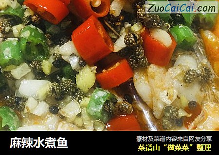 麻辣水煮鱼